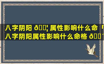 八字阴阳 🐦 属性影响什么命「八字阴阳属性影响什么命格 🐴 」